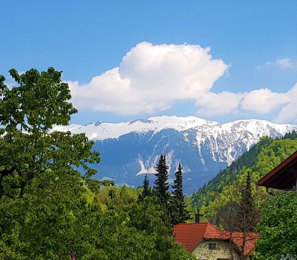 Studio Jan Zgornje Gorje Kültér fotó